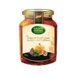 Green Farms Black Forest Honey 500g
