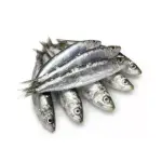 Al Fouad Boneless Sardine (Salted Sardine)