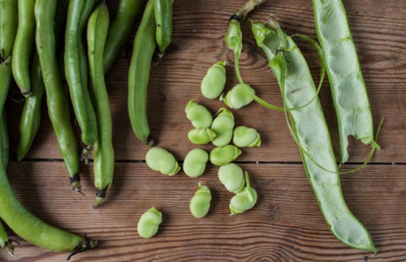 How to Cook Broad Beans UK