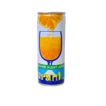 Rani Orange Juice Yemeni 250ml